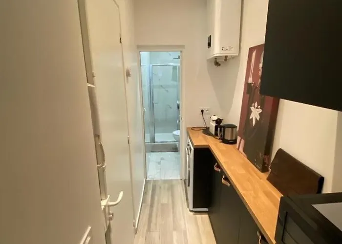 Apppartement En Duplex Montmatre Sacre Coeur Apartman Párizs